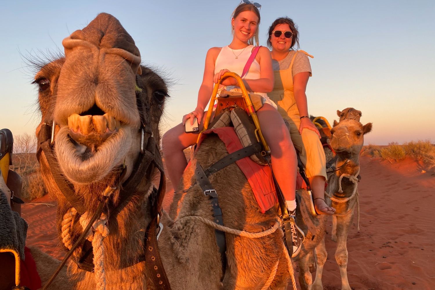 Uluru Camel Ride Experience in Northern Territory [Optional Sunrise/Sunset/Express EM/Selected Hotel Pickup]