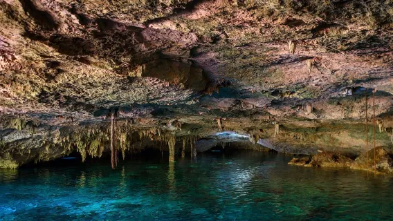 Tour ai resti maya di Cancun e Tulum in Messico (viaggio organizzato/prenotabile per 1 persona)