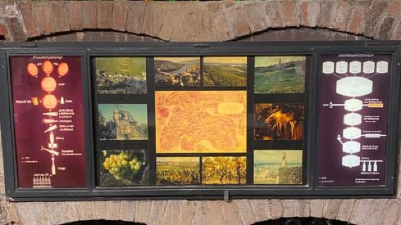 Koblenz: Sektmuseum Historie. Kellergewölbe inkl. 1 Glas Sekt