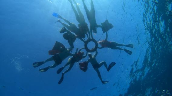 Cancun: Snorkeling al MUSA Undewater Museum and Reef