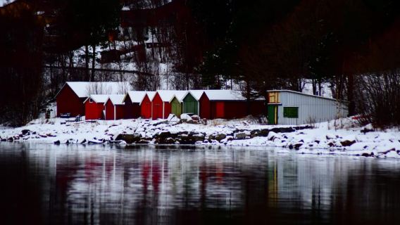 Abisko: Fjord Sightseeing and Photography Tour