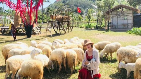 Nha Trang:Top Site Must See Vinh Hy Bay & Rai Cave Discovery