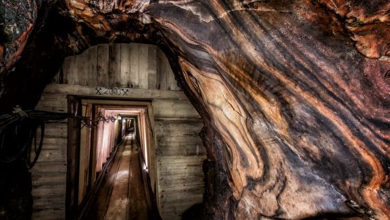 Salzwelten Altaussee: Eintrittskarte für das Salzbergwerk