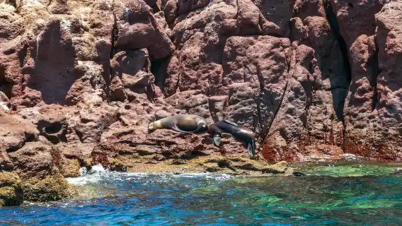 จากลิมา: วันเต็มๆ ที่หมู่เกาะ Ballestas และ Huacachina ที่น่าประทับใจ