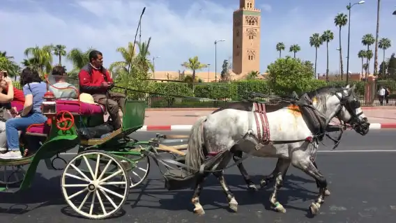 Marrakech: Bahia Palace, Saadian Tombs, & Koutoubia Mosque