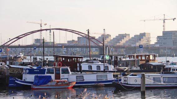 Amsterdam: Bike Tour (Noord) in tedesco o inglese