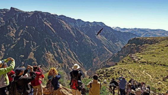 Arequipa: Ausflug nach Chivay und zum Colca Canyon