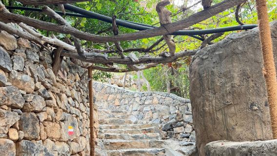 ANAT Muscat viral restaurant reservation service in Muscat, Oman