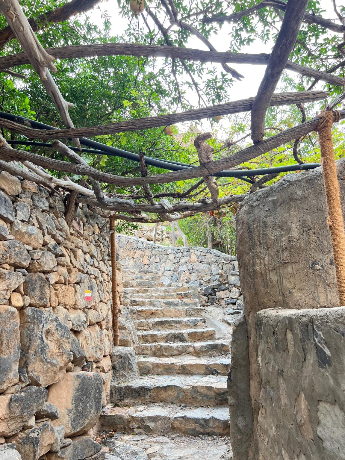 ANAT Muscat viral restaurant reservation service in Muscat, Oman