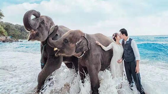 タイ プーケット Tripメモリー【世界中のタイ・プーケット Tripメモリーフォトグラファーによるウェディングセットメニュー Tripメモリー写真撮影】