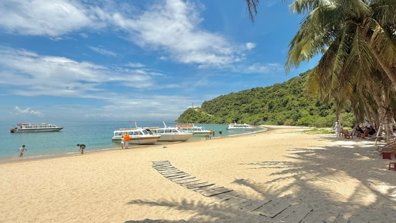 Cham Island 1-day tour (from Da Nang)