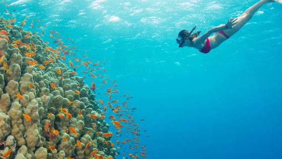 Mabul & Kapalai Island Day Tour – Snorkeling Adventure & Iconic Overwater Villas