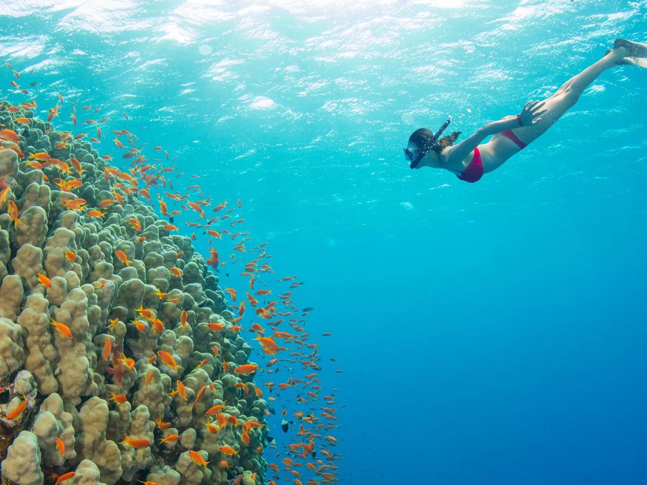Tour di un giorno a Semporna, Isola di Mabul e Kapalai: snorkeling esplorativo + visita alle case sull'acqua