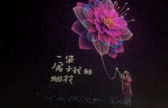 瀏陽煙花秀煙花營地一日遊【堪比內場視角】【多套餐可選】