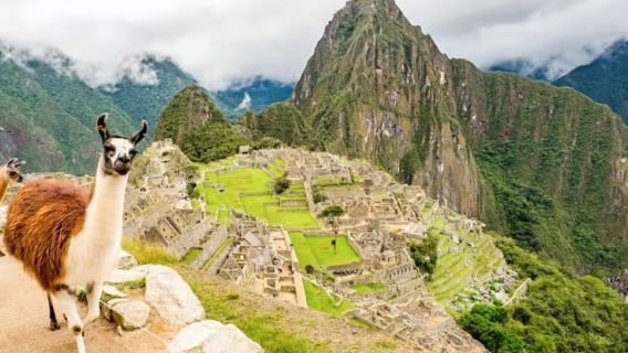 Tagesausflug nach Machu Picchu ab Cuzco, Peru (inklusive Ticket für Machu Picchu, Bahnfahrkarte und Reiseleiter)