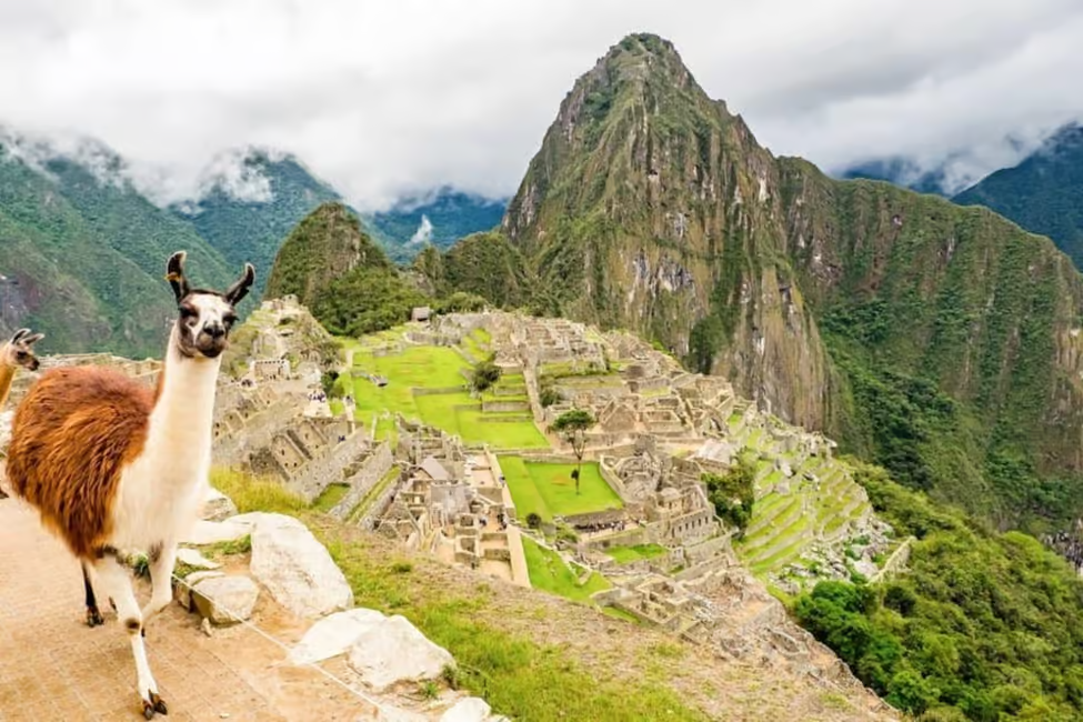 Cusco to Historic Sanctuary of Machu Picchu day tour (includes admission ticket + train ticket + guide)
