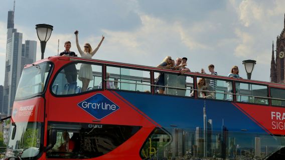Autobús turístico de Fráncfort: Skyline Special