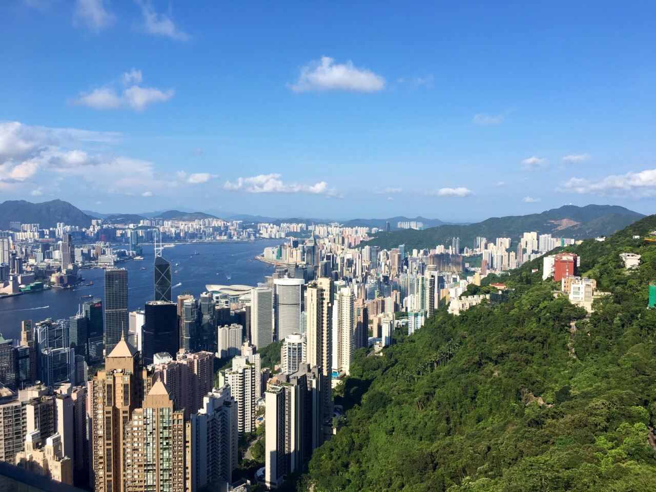 Hong Kong Day Tour [Tsim Sha Tsui + Golden Bauhinia Square + Victoria Harbour Night View] Customizable Itinerary / Door-to-Door Pickup