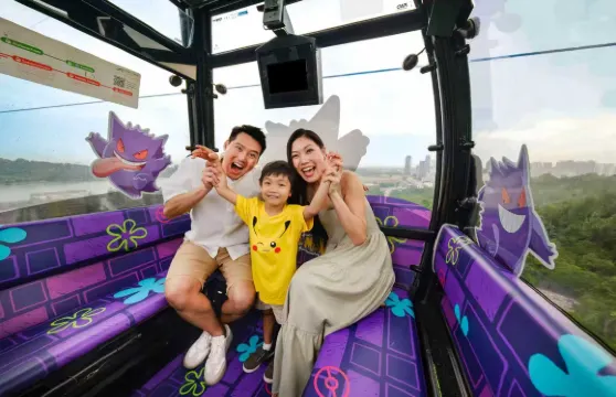 新加坡纜車往返票(聖淘沙線和花柏山線)成人