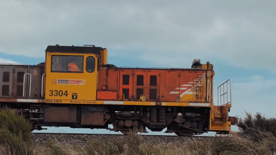 Excursión de un día desde Queenstown, Nueva Zelanda: Bluff (borde de la Antártida y romance definitivo)