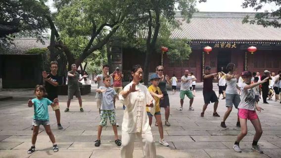 Private Chinese Kung Fu Experience - Tai Chi Lesson & Xi'an Museum 