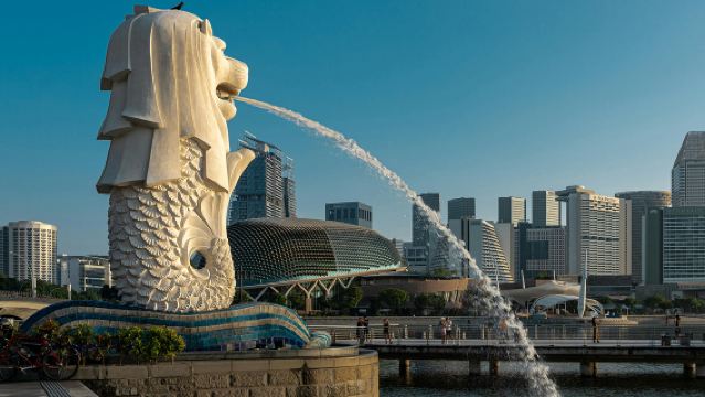 Singapore Electronic Arrival Card SGAC Filling and Registration Service · Customs Declaration Service