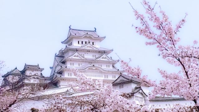 Castillo de Himeji + Onsen de Arima + Monte Rokkō (Salida desde Osaka / Opción de menú de lujo de tempura)