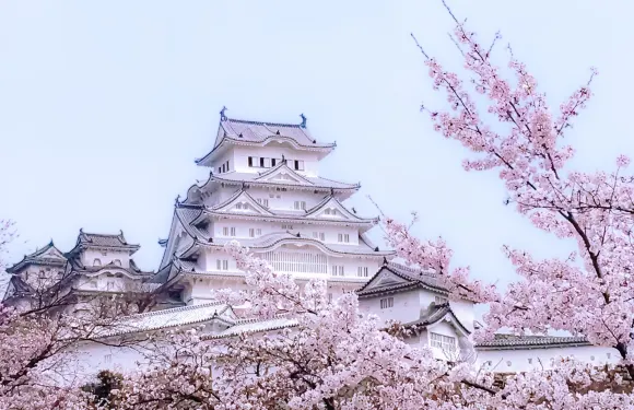 姬路城+有馬溫泉+六甲山（大阪出發/可選天婦羅豪華定食）