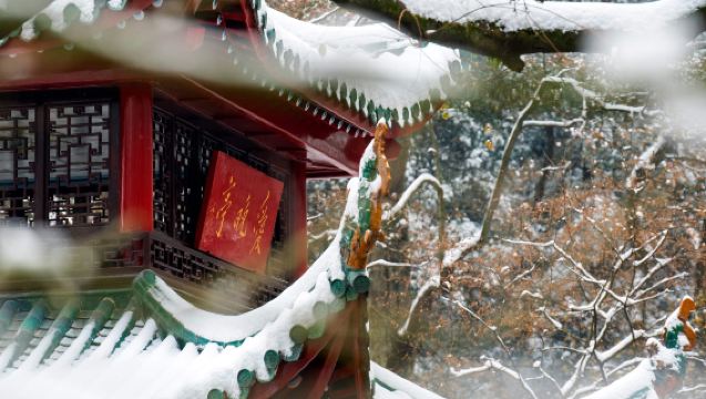 Changsha, China: Viaje independiente con servicio de coche privado con conductor al Museo Provincial de Hunan, la Academia Yuelu, la Torre Tianxin y la Plaza Wuyi