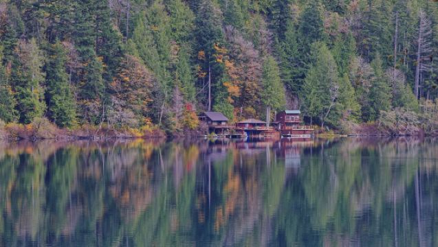 Lawatan sehari dari Seattle ke Taman Negara Olympic pergi-balik [Sewaan peribadi dengan pengambilan di tempat dalam bahasa Cina]