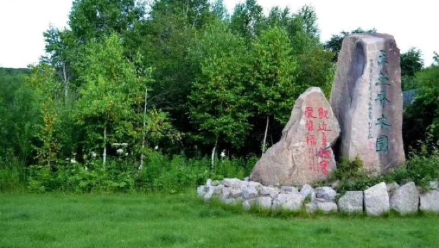 『2-8人拼小團』金山鹿苑+上甘嶺溪水森林公園一日遊