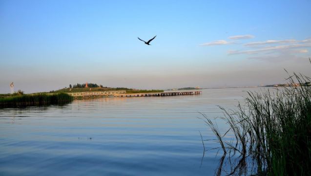 Berlepas dari Yinchuan: Lawatan Sehari ke Kawasan Pelancongan Tasik Pasir + Kawasan Pelancongan Gua Air + Tiada Aktiviti Membeli-belah