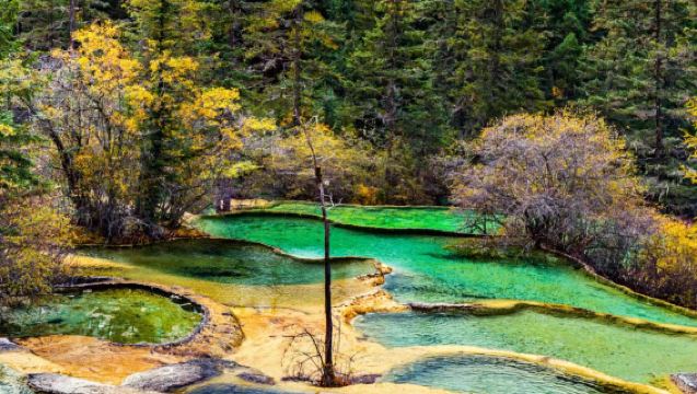 Jiuzhaigou National Park Huanglong Jiuzhai Station - Jiuzhaigou shuttle bus rideshare, optional time, admission ticket not included