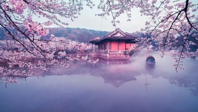 Pilihan lawatan sehari tiket masuk Yuantouzhu + tiket kapal laju pergi-balik + feri pelancong pergi-balik dalam tarikan pelancongan