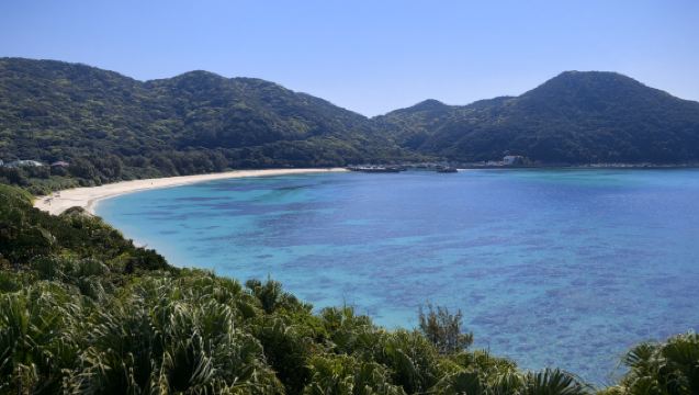 【往復専用乗船チケット付き】沖縄渡嘉敷島ワンデーツアー・シュノーケリング体験オプション