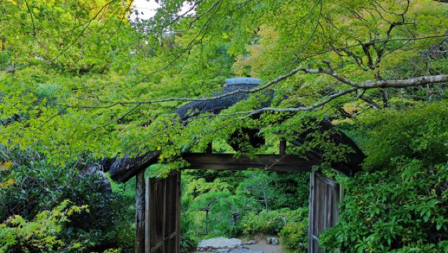 Kyoto golden route sightseeing bus tour [visit Fushimi Inari, Kiyomizu-dera and Kinkaku-ji, optional full/half day itinerary]