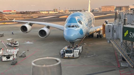 NRT Tokyo Narita International Airport lounge VIP lounge pass comfortable waiting