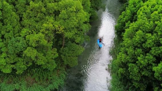 Tour Privato Giornaliero a Shanghai: Kayak nell'Antica Città di Jinze ed Esplorazione della Città d'Acqua