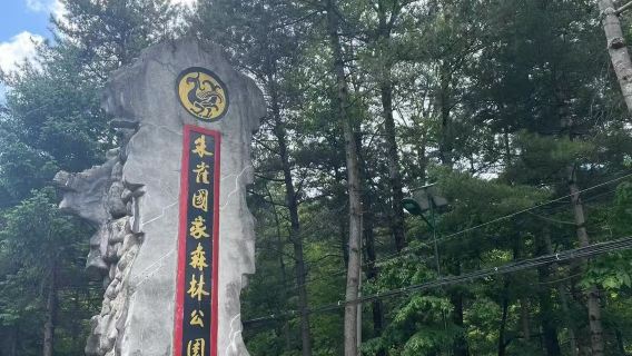 Lawatan Sehari Berpandu ke Taman Hutan Phoenix dari Xi'an