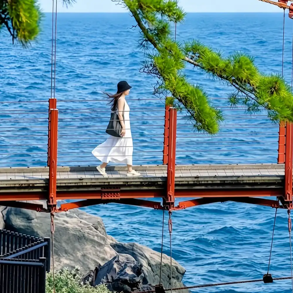 Private chartered tour in Tokyo and Izu to Mt. Omuro + Jogasaki
