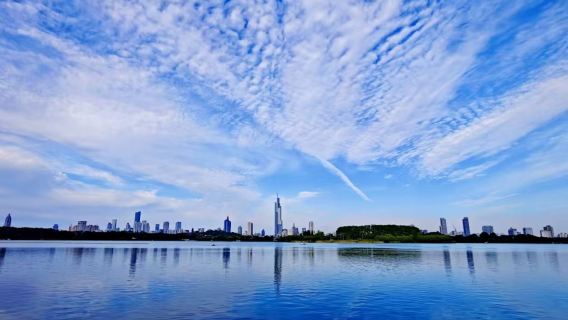 [Tour privado desde Nankín] Excursión de un día al Zoológico de la Montaña Roja, Templo Jiming, Lago Xuanwu y Templo de Confucio | Experiencia pura