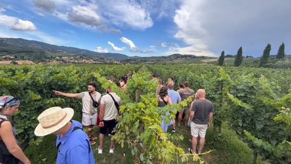 Small-Group Wine Tasting Experience in the Tuscan Countryside