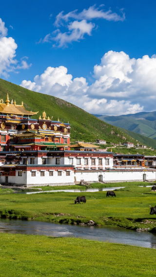 Private 1-day tour from Lanzhou to explore the sacred land of Gannan, featuring Labrang Monastery and Sangke Grassland