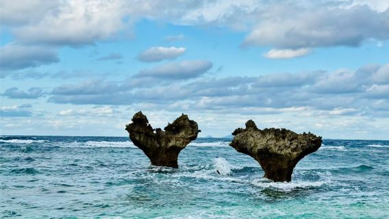 Okinawa Manzamo + Pulau Kouri + Akuarium Churaumi + Kampung Amerika [Sewaan Peribadi Bahasa Cina tidak termasuk tiket]