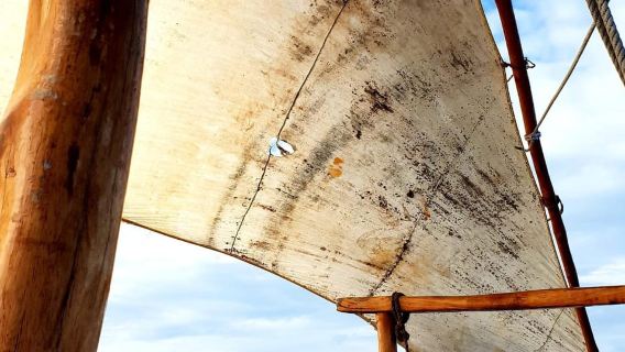 From Nungwi : Mnemba Boat Trip and Dolphin Snorkel Adventure