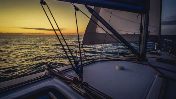 Denia: Sunset Electric Sailboat Cruise with Dolphin Spotting