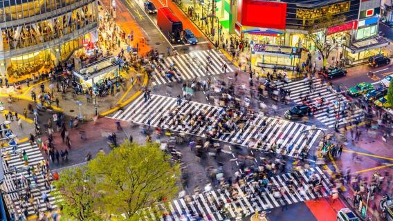 Best of Tokyo Small Group Tour