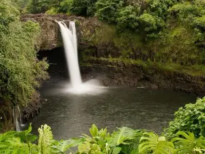 Big Island Circle Tour and Volcano: Coffee, Wine, Waterfalls and Hamakua Coast