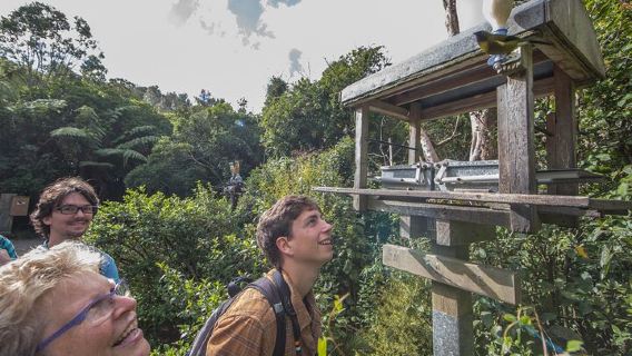 WellingtonTours