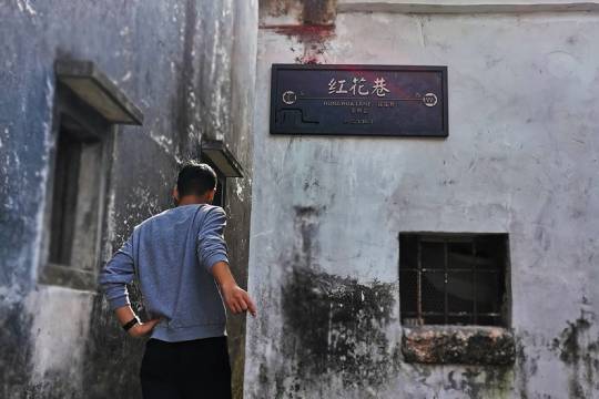 深圳楊梅坑一日遊